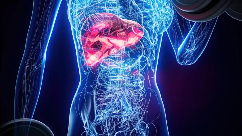 Gordura no fígado: como a obesidade pode levar à MASH e à esteatose hepática como a obesidade pode levar à MASH e à esteatose hepática